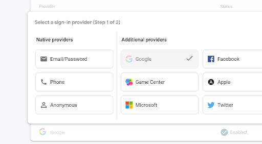 Choosing the Google Auth strategy